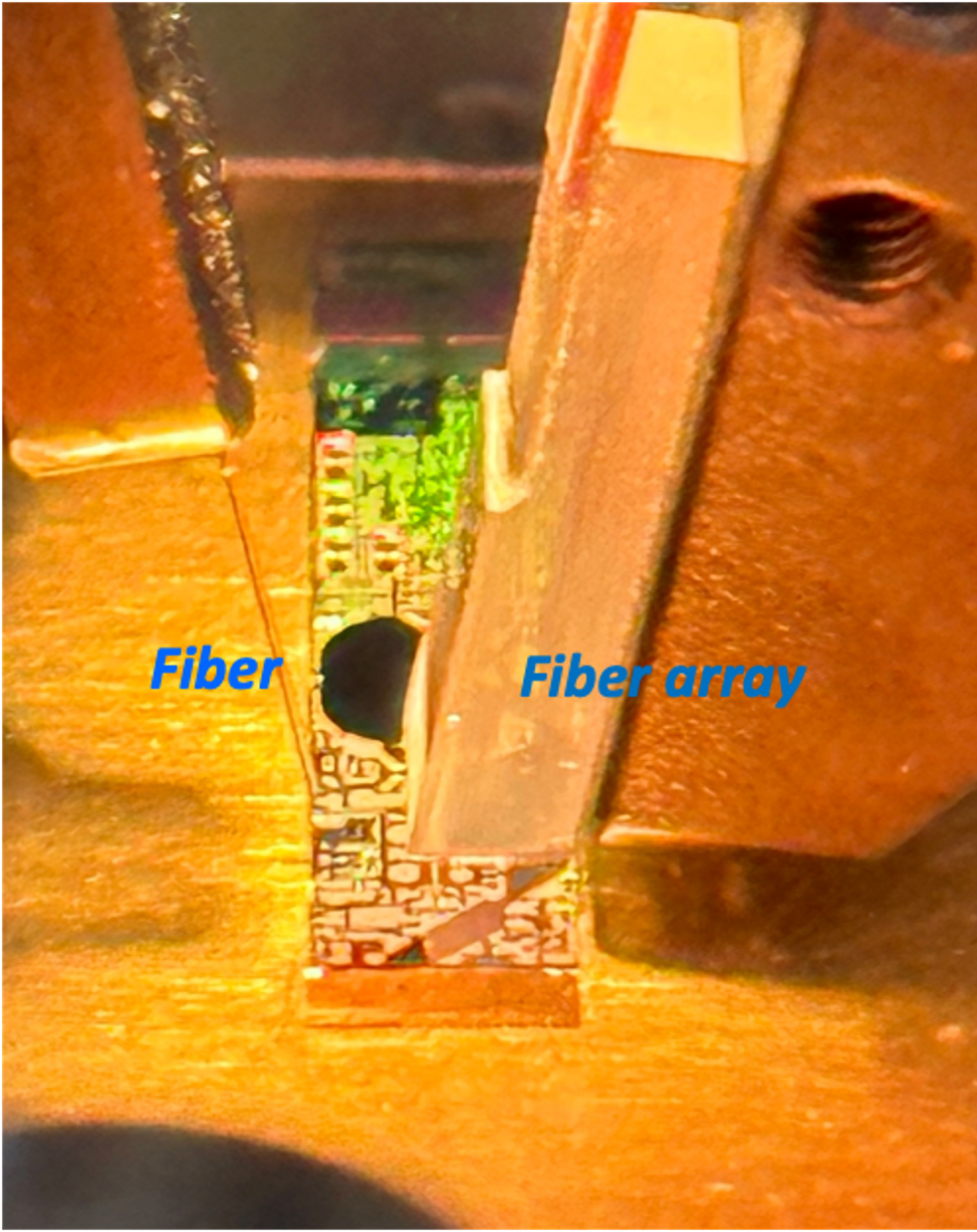 在量測系統中,光纖(Optical Fiber)負責入光,光信號進入後導入矽光子光學同調斷層掃描晶片,隨後傳送至光纖陣列(Optical Fiber Array)進行影像分析。