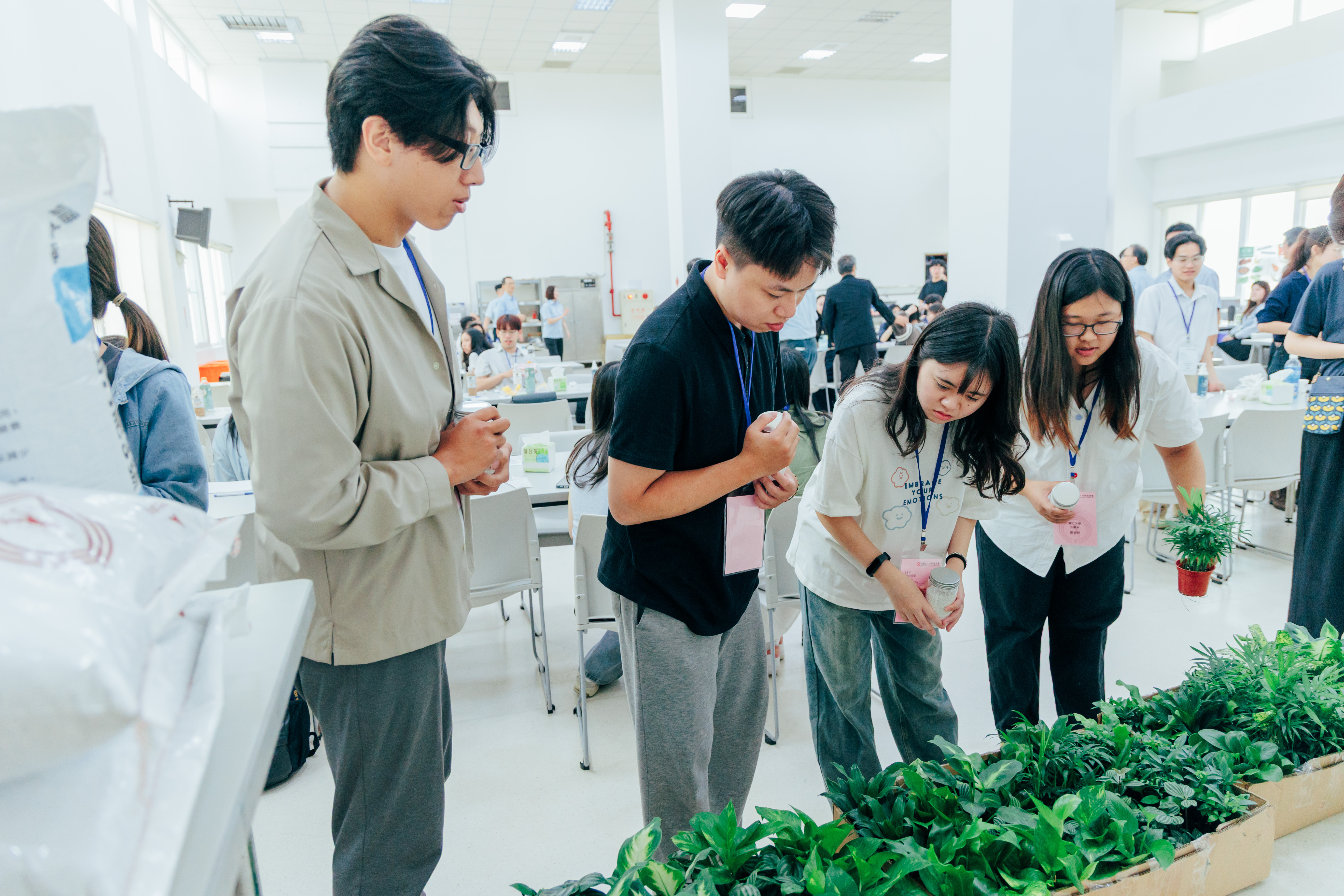 台肥設計DIY實作活動，讓學生實際觀察不同肥料對作物成長的影響。照片提供／台灣肥料股份有限公司