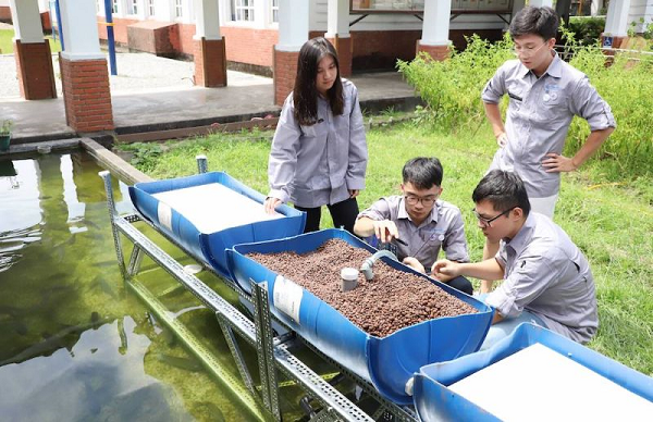 台科大行動工程師 前進東澳國小建生態渠道、魚菜共生系統、打造創意門牌,今日新聞報導共2張