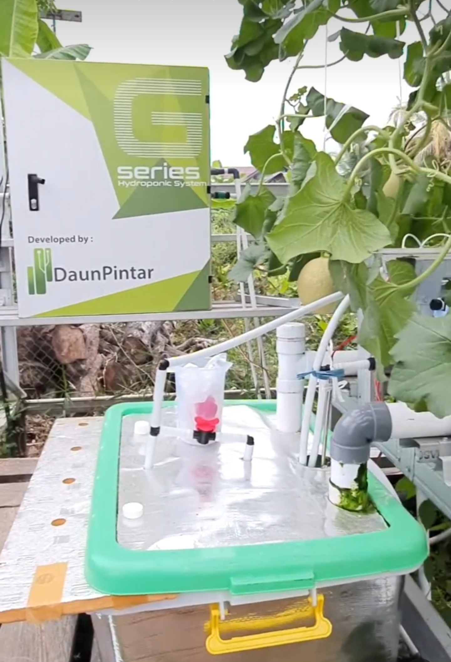 PT Daun Pintar Raya團隊為種植哈密瓜的客戶安裝產品。