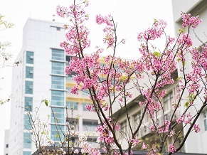 114學年度第一學期「期末課程評量」中獎名單