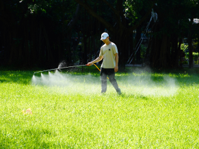 Taiwan Tech and Alumni build eco-defense against biting midges, reviving a greener campus.